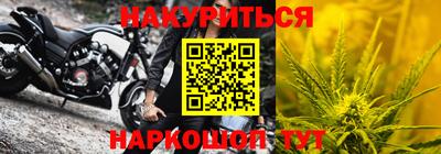 apvp Бийск