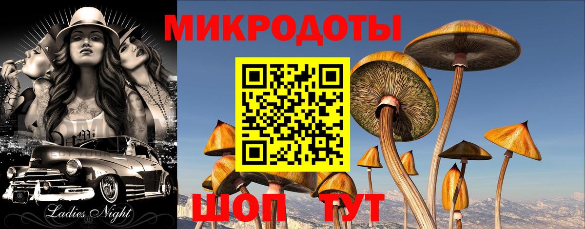Избербаш  Псилоцибиновые грибы Cubensis  Вход с VPN  Галлюциногенные грибы ЛСД 
